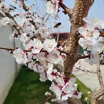 Casa Lucan Вилла *