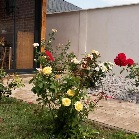 Вілла Casa Lucan